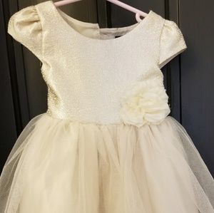 Zunie Tulle Toddler Dress Party